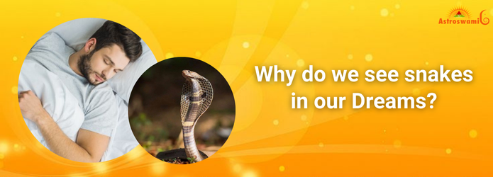 Why Do We See Snakes in Our Dream