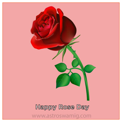 happy-rose-day