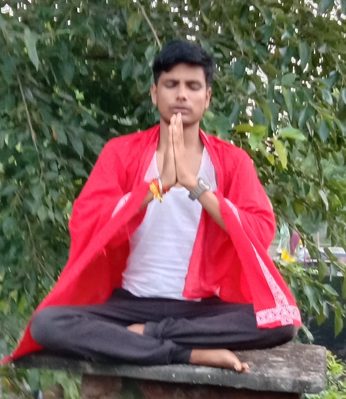 Astrologer