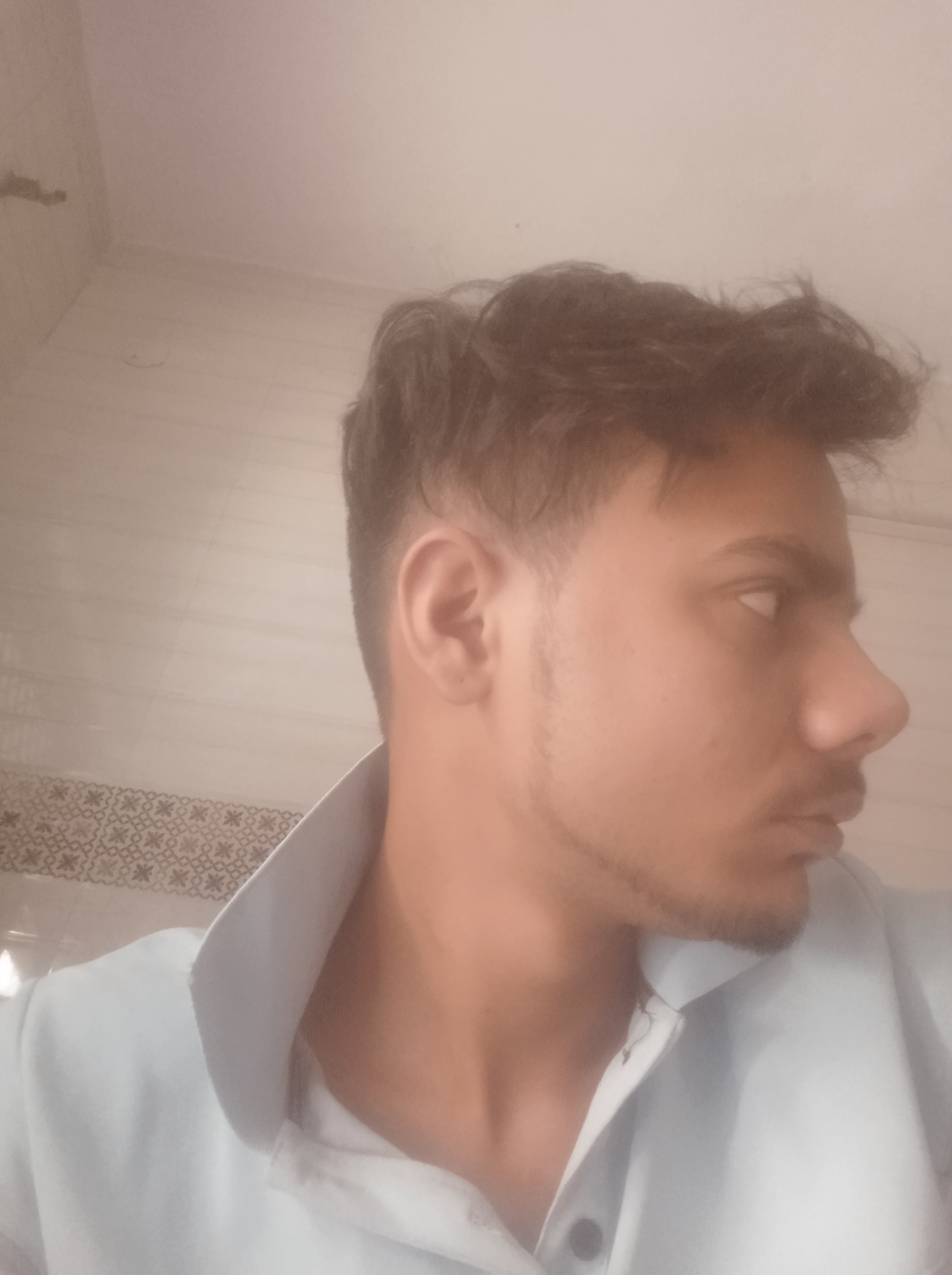 Astrologer