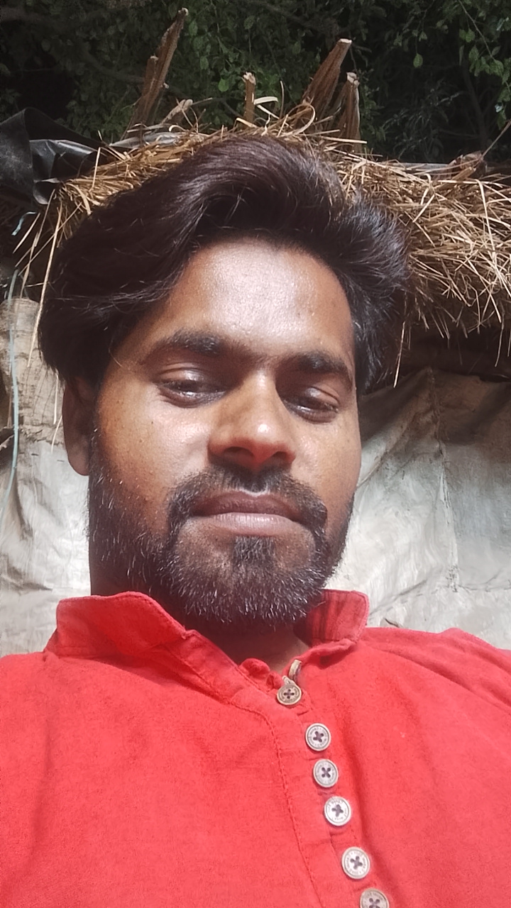 Astrologer