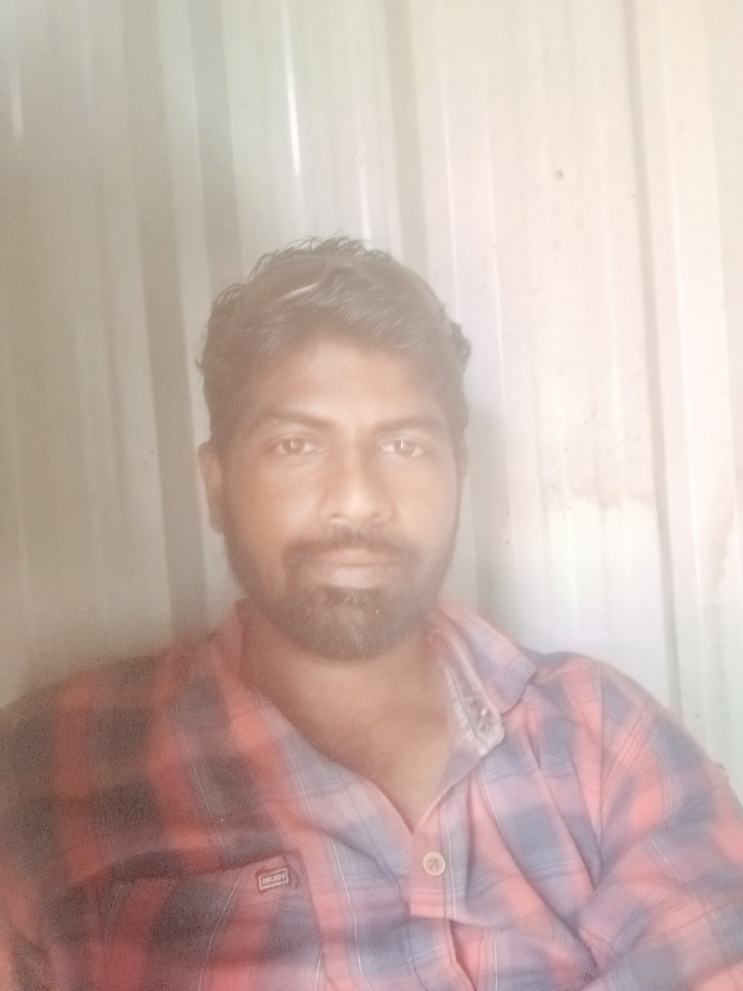 Astrologer