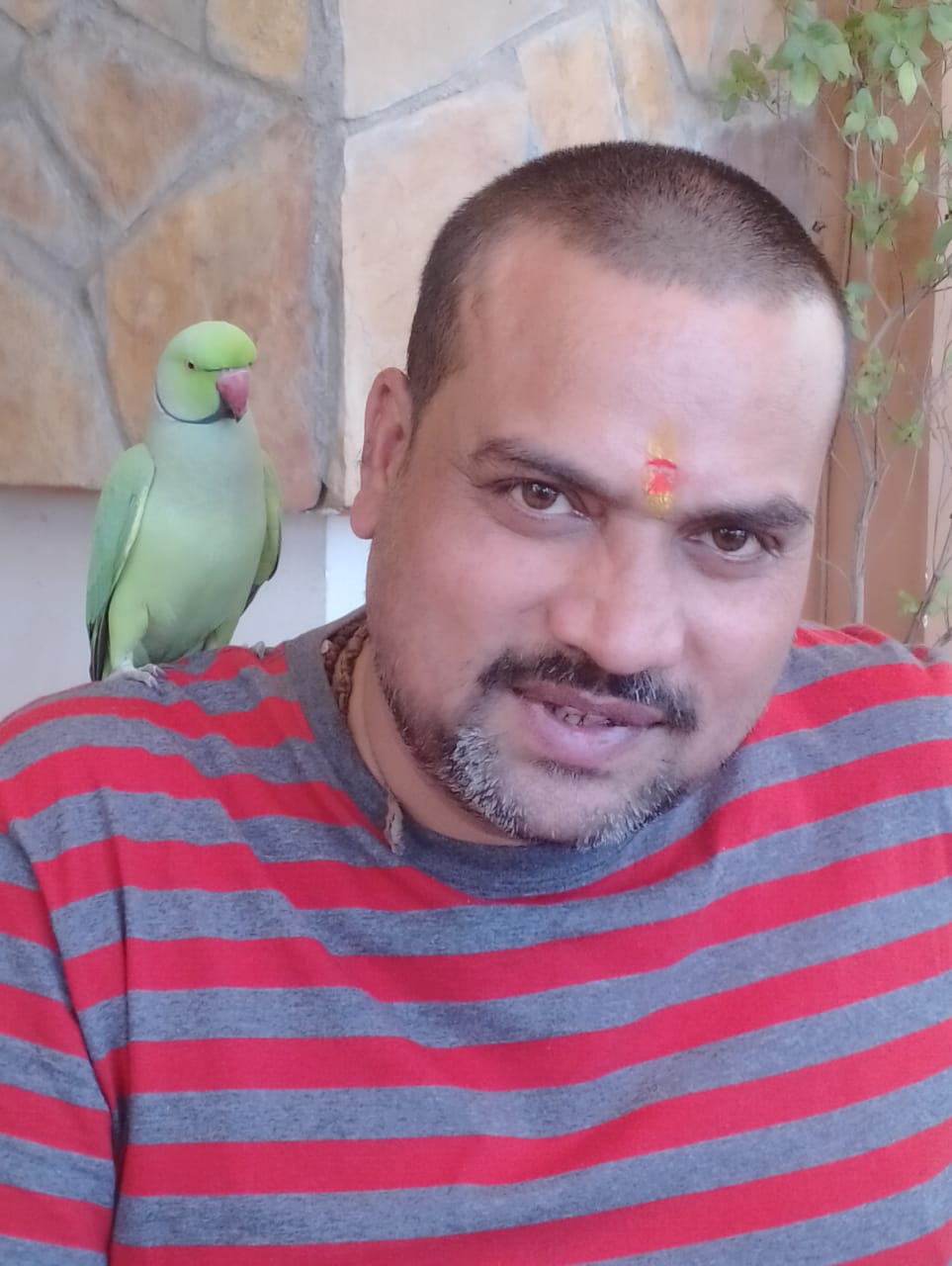 Astrologer