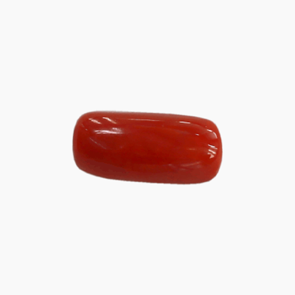 Red-Coral Cylindrical